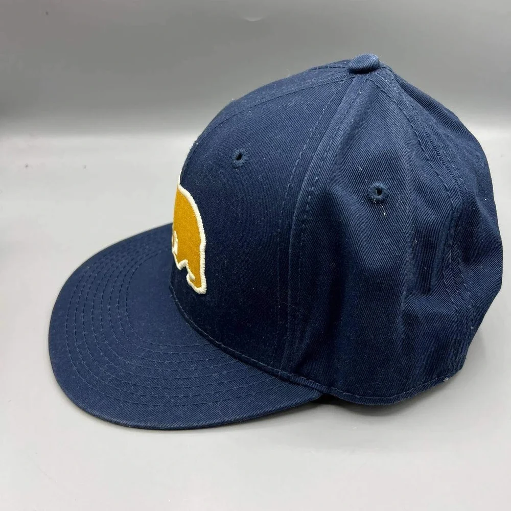 California Bear Hat Men Navy‎ Yellow Embroidered Levi's Snap Back Cap